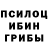 Псилоцибиновые грибы Cubensis maksell