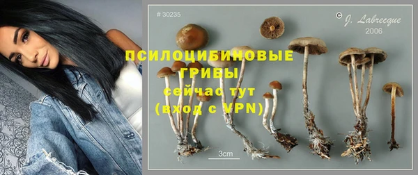 ешки Краснотурьинск