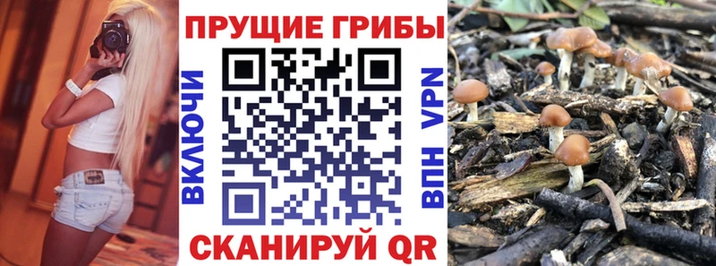 Псилоцибиновые грибы Psilocybe  наркота  Мелеуз 